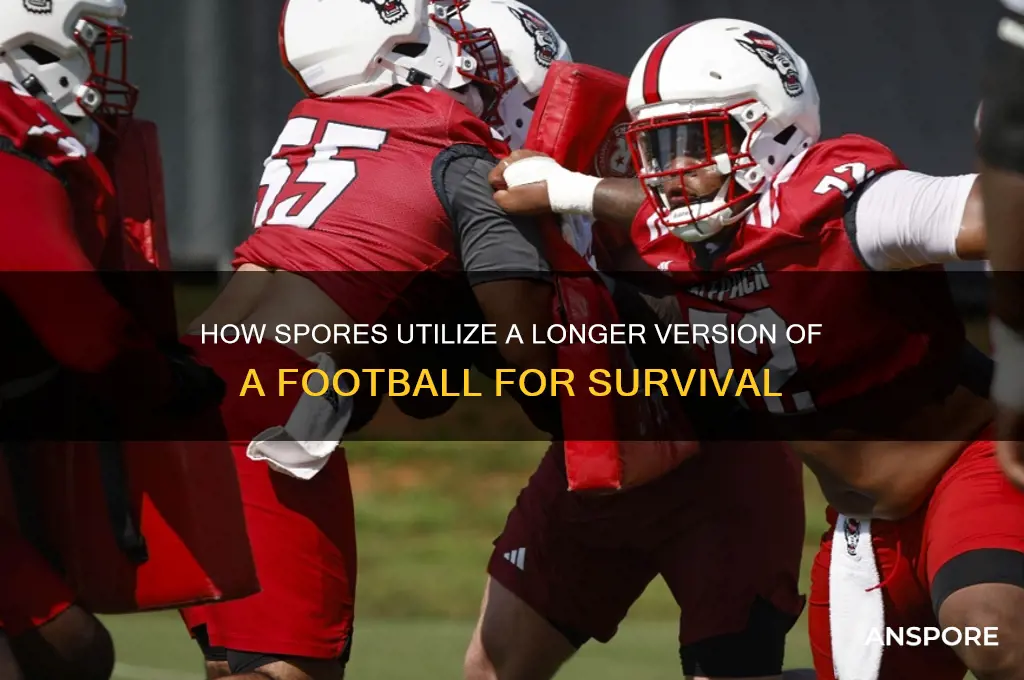 what a spore uses a longer version of a football