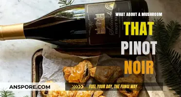 Pinot Noir's Fungal Friend: Exploring the Mushroom Connection in Wine