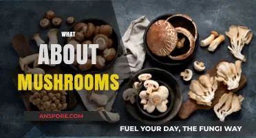 Mushrooms: Nature's Magical Treats
