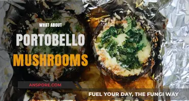 Exploring Portobello Mushrooms: Nutrition, Recipes, and Culinary Versatility