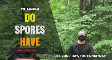 Why Spores Are Nature's Ultimate Survival and Dispersal Tool