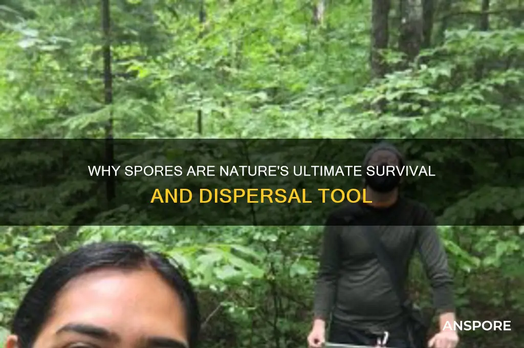 what advantage do spores have