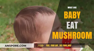 When Can Babies Safely Enjoy Mushrooms in Their Diet?