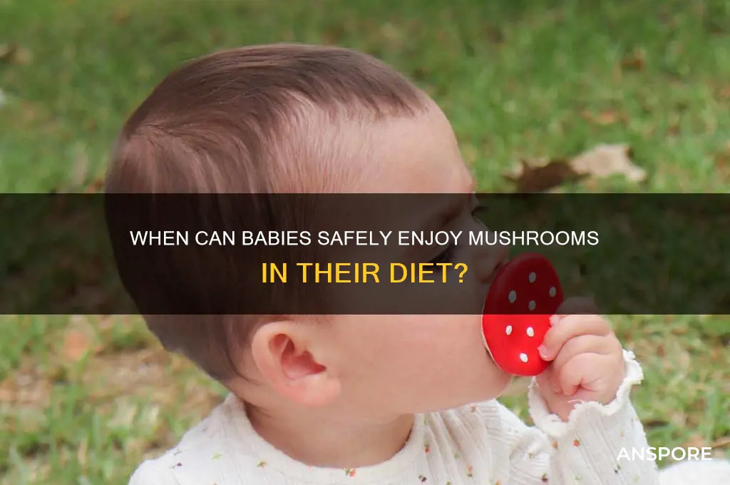 what age baby eat mushrooms