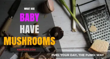 Introducing Mushrooms to Your Baby's Diet