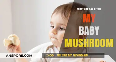 When Can Babies Safely Enjoy Mushrooms in Their Diet?