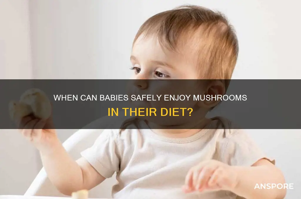 what age can i feed my baby mushrooms