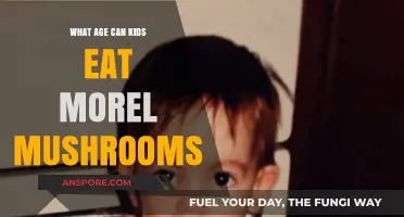 When Can Kids Safely Enjoy Morel Mushrooms: Age Guide