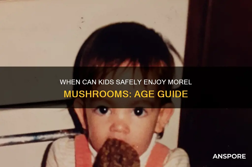 what age can kids eat morel mushrooms