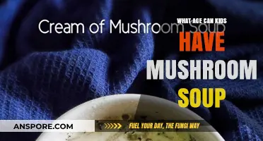 When Can Kids Enjoy Mushroom Soup? A Parent's Guide