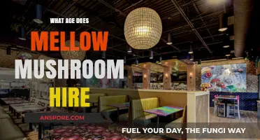 When Can You Start Working at Mellow Mushroom: Hiring Age Explained