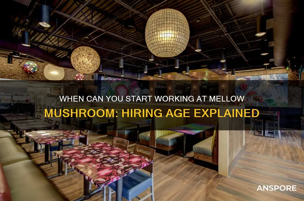 what age does mellow mushroom hire