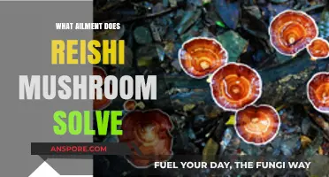 Reishi Mushroom Benefits: Ailments It Can Help Solve Naturally