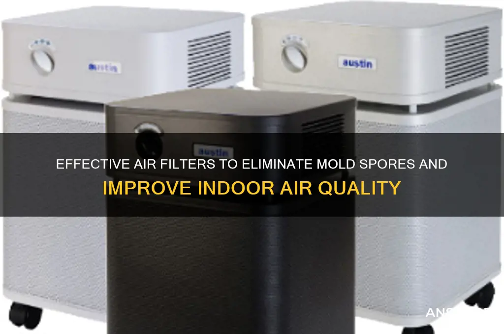 what air filter removes mold spores from the air