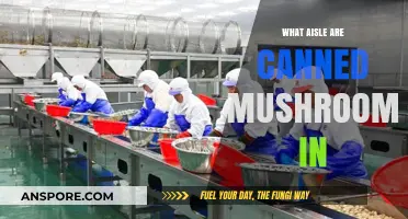 Finding Canned Mushrooms: Aisle Location Guide for Quick Grocery Shopping