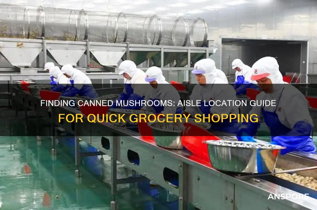 what aisle are canned mushrooms in