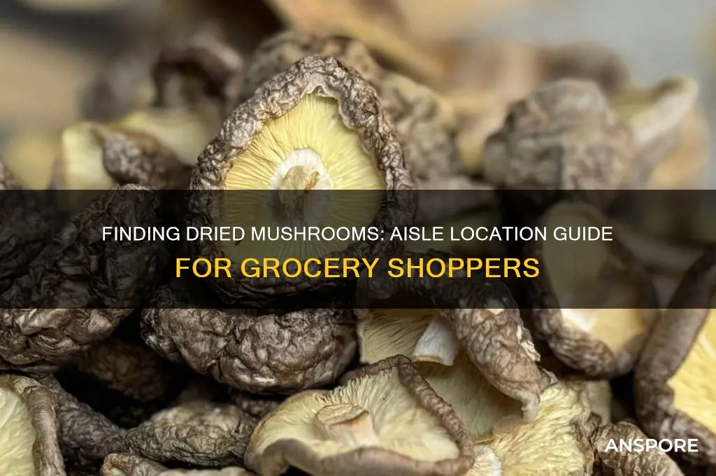 what aisle are dried mushrooms in