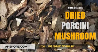 Where to Find Dried Porcini Mushrooms: Aisle Guide for Shoppers