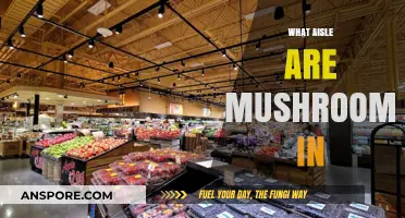 Where to Find Mushrooms in the Grocery Store
