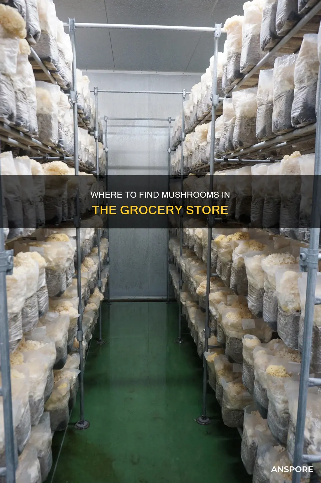 what aisle are mushrooms in