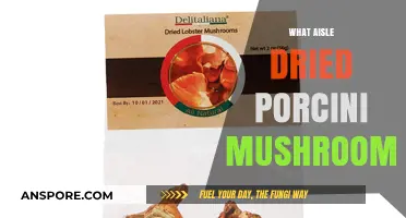 Dried Porcini Mushrooms: Which Supermarket Aisle?