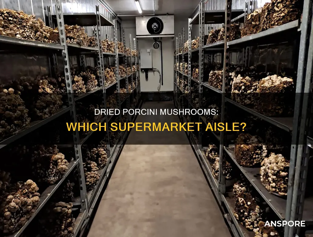 what aisle dried porcini mushrooms