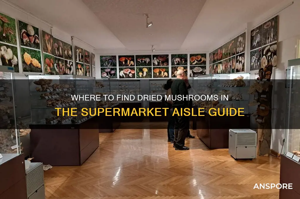 what aisle will i find dried mushrooms in supermarket