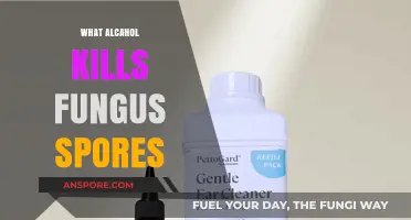 Effective Alcohol Solutions to Eradicate Fungus Spores: A Comprehensive Guide