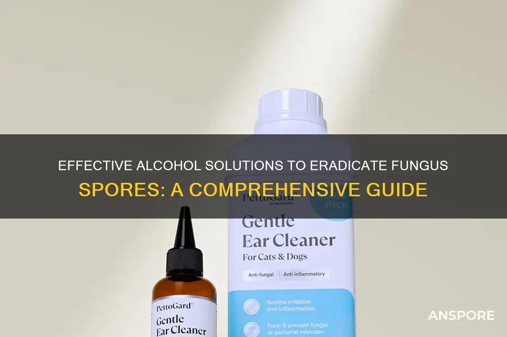 what alcahol kills fungus spores