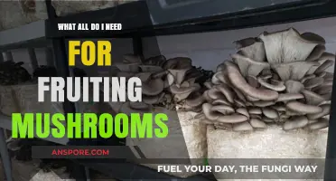 Essential Supplies for Successfully Growing Fruiting Mushrooms at Home