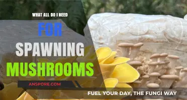 Essential Supplies for Successful Mushroom Spawning: A Comprehensive Guide