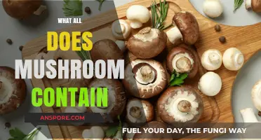 Mushrooms: Nature's Nutritional Powerhouses