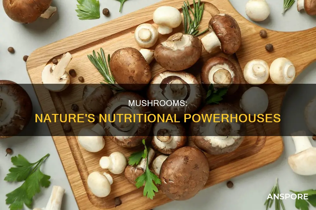 what all does mushroom contain
