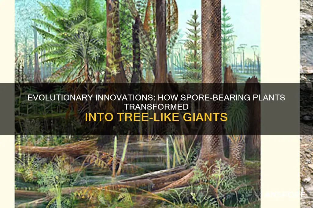 what allowed spore-bearing plants to become tree like