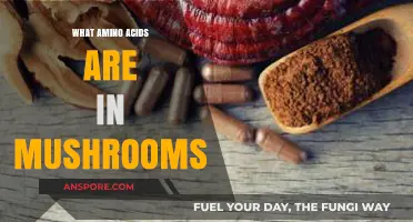 Discover the Essential Amino Acids Found in Mushrooms: A Nutritional Guide