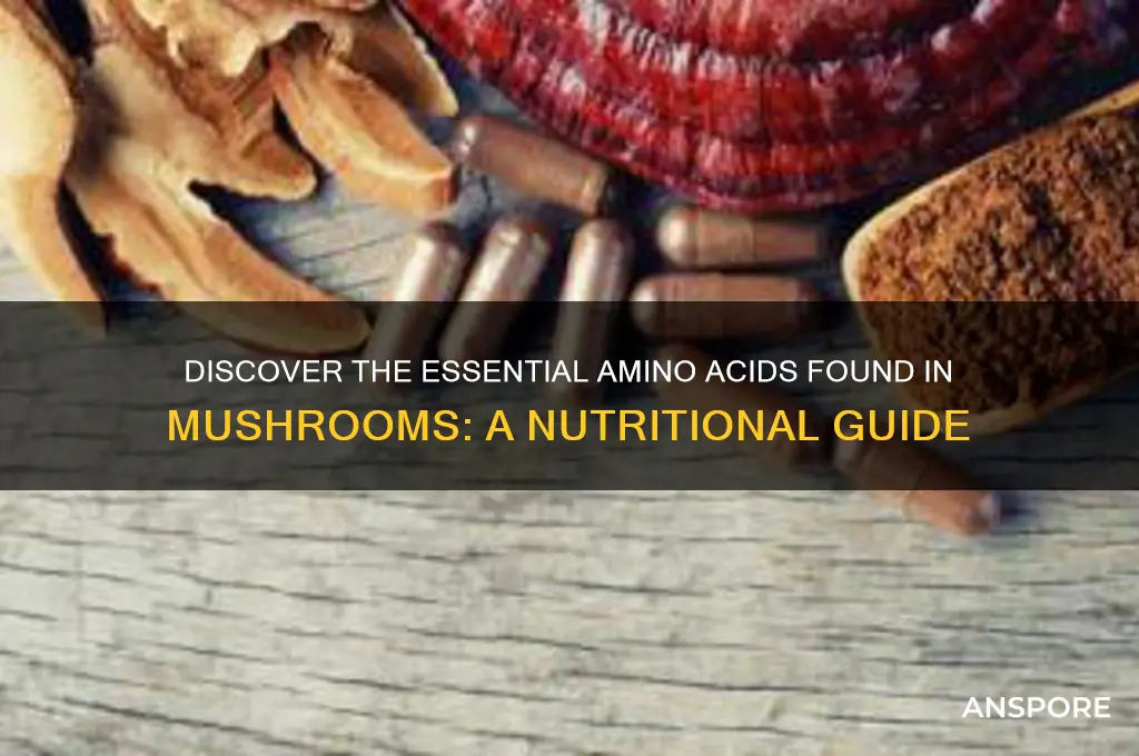 what amino acids are in mushrooms