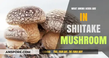 Shiitake Mushrooms: Unlocking the Essential Amino Acid Profile