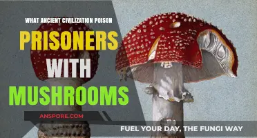 Deadly Fungi: Ancient Civilizations' Mushroom Poisoning of Prisoners Revealed