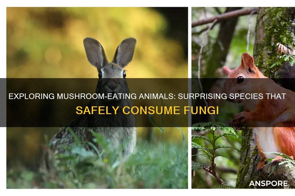 what animals can eat mushrooms