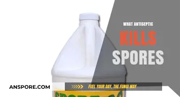 Effective Antiseptics for Killing Spores: A Comprehensive Guide