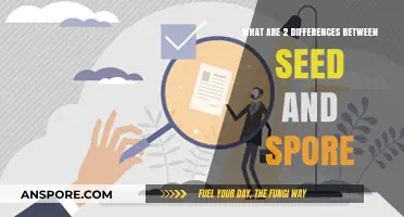Seeds vs. Spores: Key Differences in Plant and Fungal Reproduction