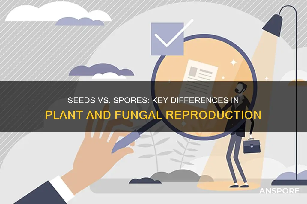 what are 2 differences between seed and spore