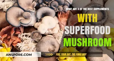 Superfood Mushrooms: Top 3 Supplements for Optimal Health Boost