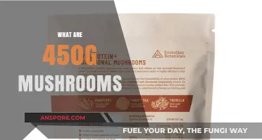 Mushroom Mystery: Unveiling the 450g Package