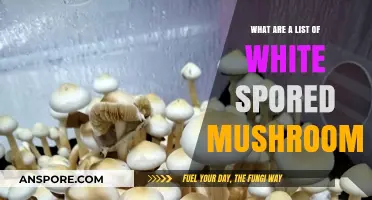 Exploring White-Spored Mushrooms: A Comprehensive Guide to Varieties and Identification