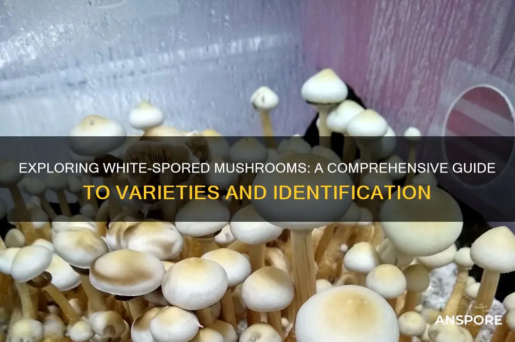 what are a list of white spored mushrooms