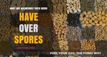 Seeds vs. Spores: Exploring the Unique Advantages of Seed Reproduction