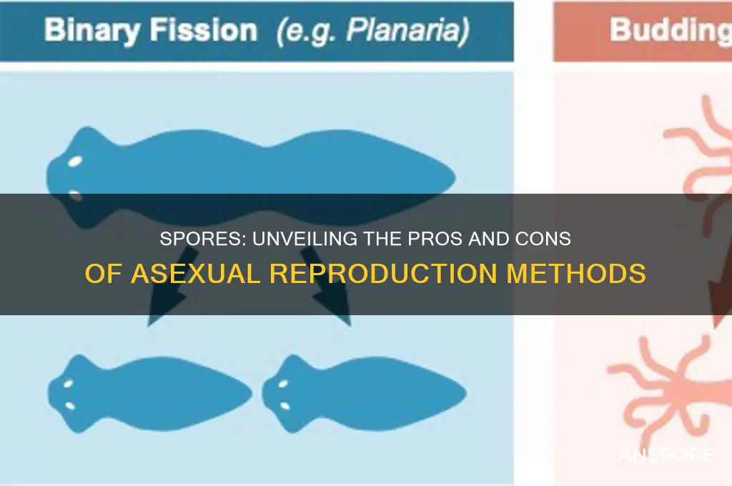 what are advantages and disadvantages of reproducing by spores