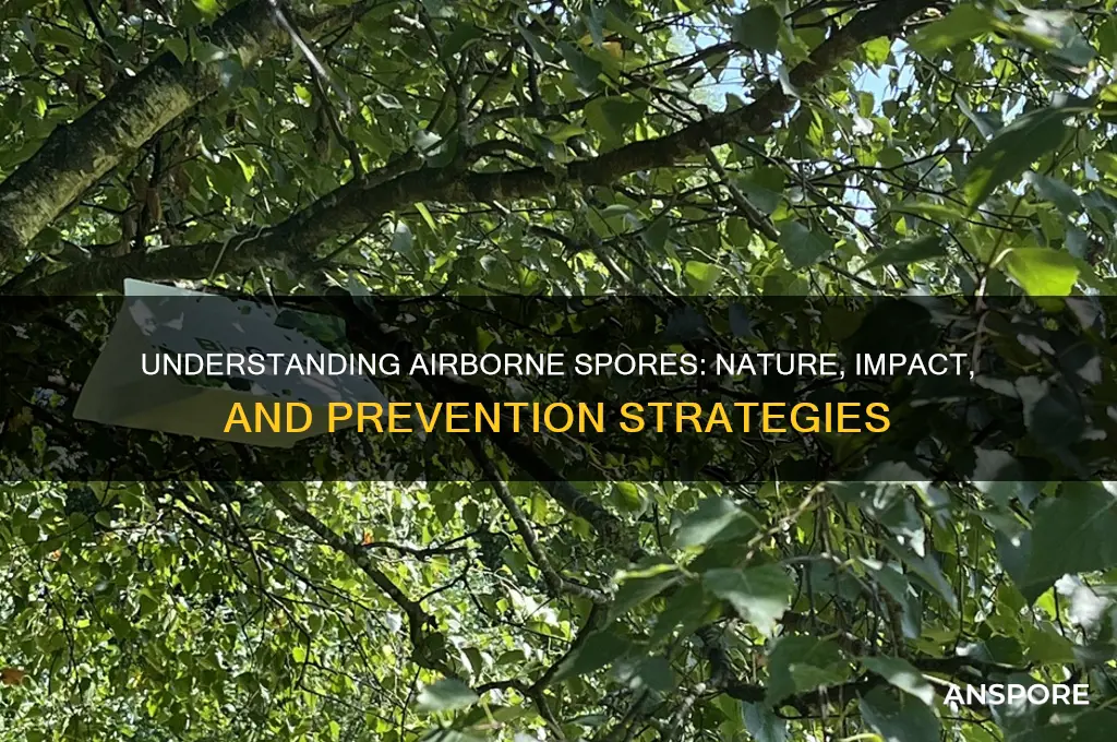 what are airborne spores