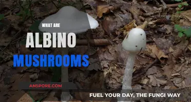 Unveiling the Mystery of Albino Mushrooms